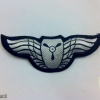 Air Drive Wings ( Flight Engineer ) img34451