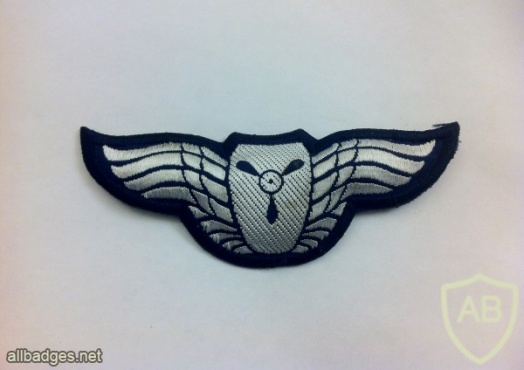 Air Drive Wings ( Flight Engineer ) img34451