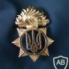 National Guard visor hat badge