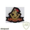 Duke Of Wellington's Regiment (West Riding) blazer badge