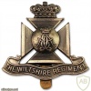 Duke of Edinburgh's (Wiltshire Regiment) cap badge