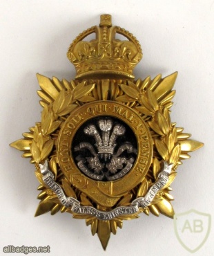 Prince of Wales’s Leinster Regiment (Royal Canadians) Officer’s helmet plate, King's crown img34612