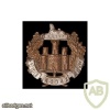 Essex regiment cap badge