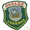 Belarus Border Guard, Polotsk mobile group patch