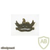 Gloucestershire Regiment collar badge