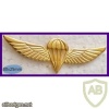 Parachute wings - Golden img34683