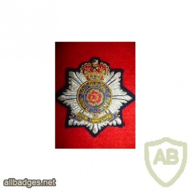 Hampshire Regiment cap badge, Officers pattern, bullion img34733