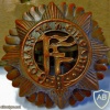 Irish Defence Forces cap badge img34809