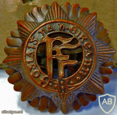 Irish Defence Forces cap badge img34809