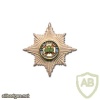 Irish Guards cap badge, Officers