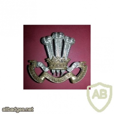 Imperial Yeomanry Hospital cap badge img34807