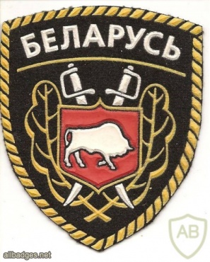 Belarus Ministry of Internal Affairs patch img34801