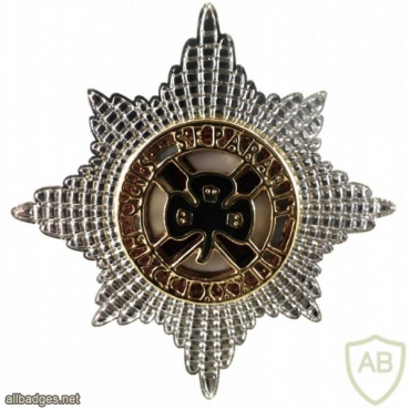 Irish Guards cap badge, Officers img34813