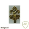 King's Regiment cap badge, bimetal img34855