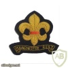 Manchester Regiment blazer badge