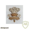 LEINSTER REGIMENT CAP BADGE, bimetal, straight scrolls img34948