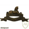 Lincolnshire Regiment collar badge, officers, brass