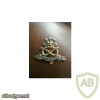 North Staffordshire Regiment cap badge, bimetal, type 1 img35095