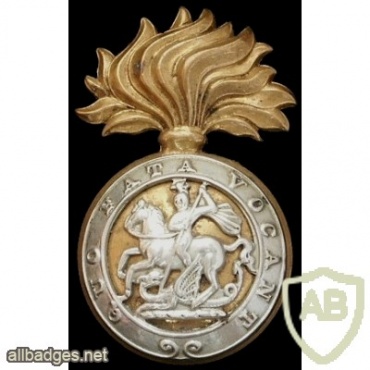 Northumberland Fusiliers (Royal) regimental hackle, post 1935, bimetal img35103