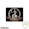 Norfolk Regiment cap badge, bimetal