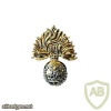 Royal Regiment of Fusiliers cap badge
