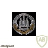 Northamptonshire Regiment cap badge, bimetal img35099