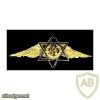RAF Jewish Palestinian Pilots badge img35124