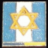 Jewish Brigade Group Metal and Enamel pin img35139