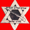 אגודת הציידים העבריים בארץ ישראל ( פלסטין )