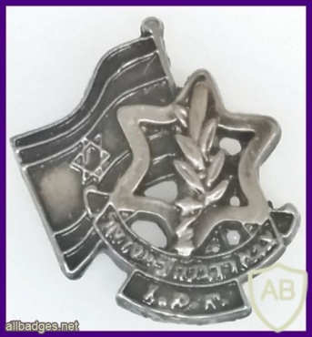 Badge representing soldiers and officers abroad img35310