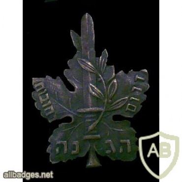 HAGANAH Rehovot badge img35249