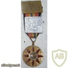 Unidentified Egyptian Badge 1973 Yom Kippor War img35255