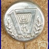 17 שנים למדינת ישראל img35398