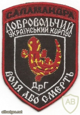 Volunteer Ukrainian Corps, Salamander Subversive and Intelligence Group The Right Sector img35542