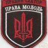 "Right Youth" Voluntary Ukrainian Corps "The Right Sector"