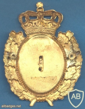 DENMARK Danish Police cap badge img35635