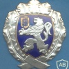 ESTONIA Estonian Police cap badge
