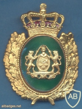 badge information page - Viewing Badge DENMARK Danish Police cap badge