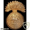 Northumberland Fusiliers cap badge img35629