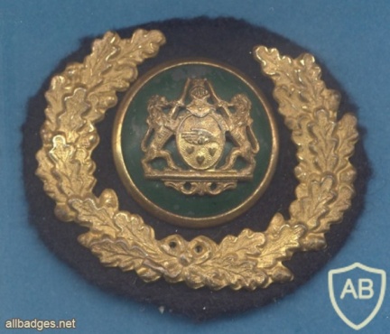 DENMARK Danish Police cap badge, old img35632