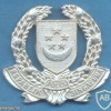 SINGAPORE Police Force cap badge