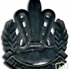 סמל כובע חיל האיסוף הקרבי - דגם 3 img35688