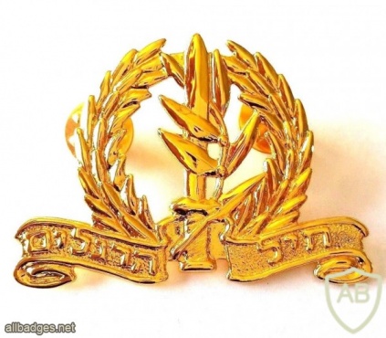 חיל הרגלים- זהב img35704