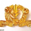 חיל הרגלים- זהב img35705