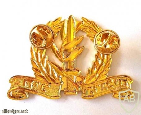 חיל הרגלים- זהב img35705
