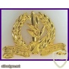 חיל הרגלים- זהב img35706