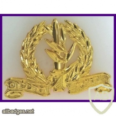 חיל הרגלים- זהב img35706