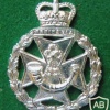 1st Green Jackets (43rd and 52nd) cap badge img35744