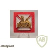 Royal Gloucestershire, Berkshire and Wiltshire Regiment cap badge, side badge, cloth