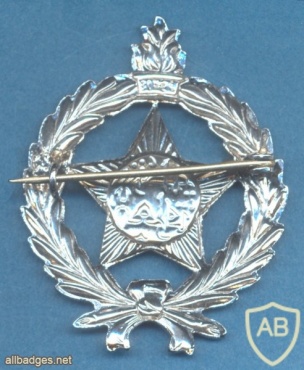 IRAQ Police cap badge img35788